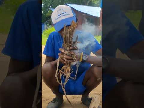 Orang Asli Etnik Batek show how to make a fire @ Kampung Kuala Sat 原住民演示如何生火