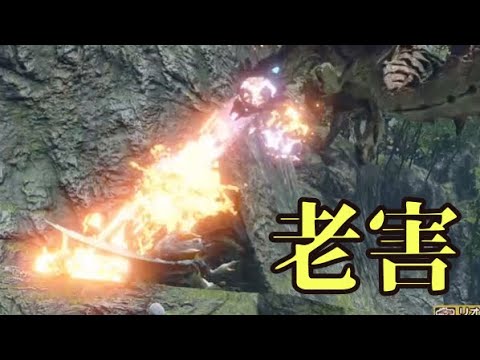 【老竜】最終決戦おばさん (レウス) 【クソ動画】