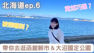 帶你去逛函館朝市＆大沼國定公園！竟然巧遇？被熊嚇到？北海道ep.6