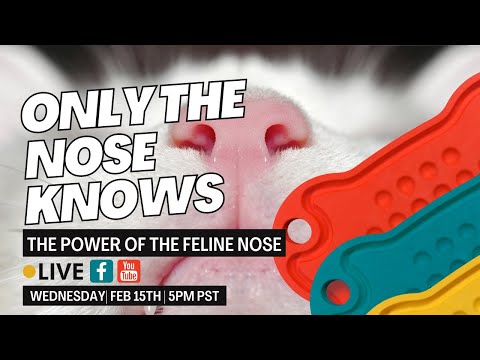 Only The Nose Knows For Sure | Understanding The Power Behind The Cat's Nose with Dr. Carol Smeja