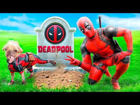 Deadpool vs Superheroes! From Birth to Death of Deadpool!