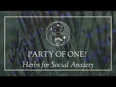 Party of One? Herbs for Social Anxiety