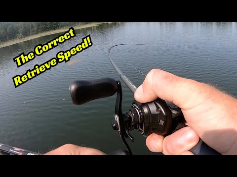 How To Choose The Correct Fishing Lure Retrieval Speed! Makes A Huge difference!