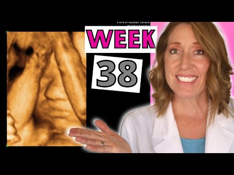 38 Weeks Pregnant | Pregnancy Week by Week and Signs of Labor