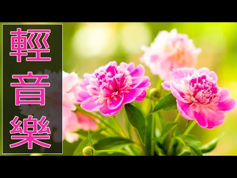 【非常好听】🎷🎷週末聽50首最好的老音樂 🌺早上最適合聽的輕音樂 🎵 每天調心洗滌心性 - 薩克斯風 - 無廣告音樂  - 轻音乐 - 探戈老歌 Old Taiwanese Music