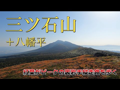 【三ツ石山・八幡平】紅葉がピークを迎えている三ツ石山と、裏岩手縦走路や八幡平