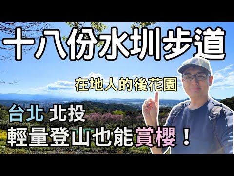 【台北秘境】陽明山賞櫻秘境🌺十八份水圳步道 | 墨染櫻🌸盛開超美 | Taiwan 🇹🇼 Travel