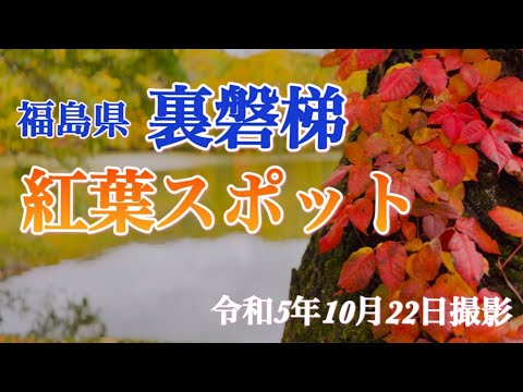 【福島県裏磐梯】10月　おすすめ紅葉スポット　曲沢沼・中津川渓谷の紹介