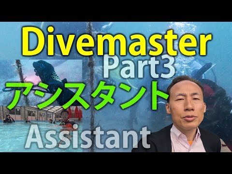 実際のゲストのアシスタントで総仕上げ! ダイブマスター合宿 Part3 [VLOG:231]