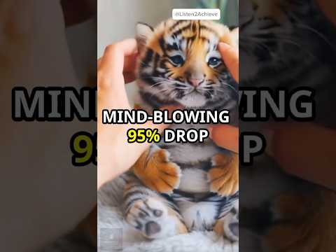 A Tiger Cub’s Adorable Discovery! 🐯 You Won’t Believe What Happens Next!