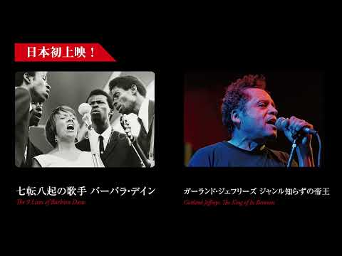 【Peter Barakan's Music Film Festival 2024】予告編