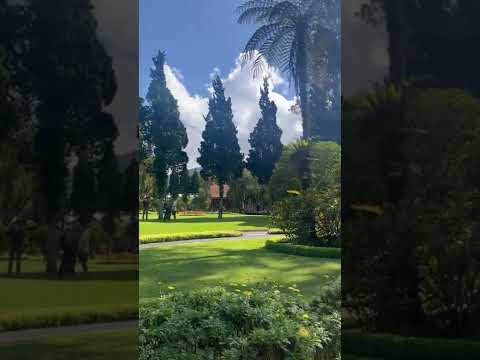 ウルン・ダヌ・ブラタン寺院の敷地内の様子🌿