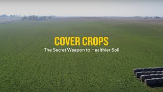 Cover Crops: The Secret Weapon to Healthier Soil