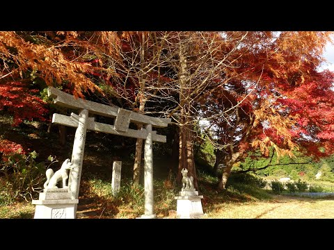 紅葉狩りの稲荷神社　三重県名張市安部田