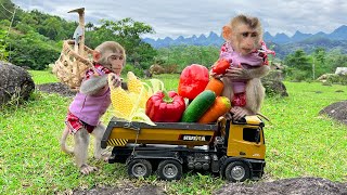 Smart Bim Bim harvests fruit for BBQ with baby monkey Obi