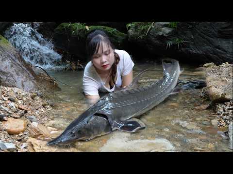 One fine day, I went into the forest to look for honey bees and discovered a school of sturgeon