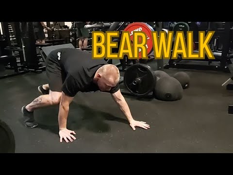 Bear Walk /Gladiator Training Program