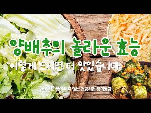 양배추의 놀라운 효능 다이어트 레시피 이렇게 먹으면 정말 맛있습니다