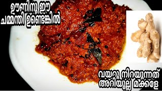 വയറു നിറച്ചു ചോറുണ്ണാൻ ഇഞ്ചി ചമ്മന്തി | Ginger chutney  recipe malyalam