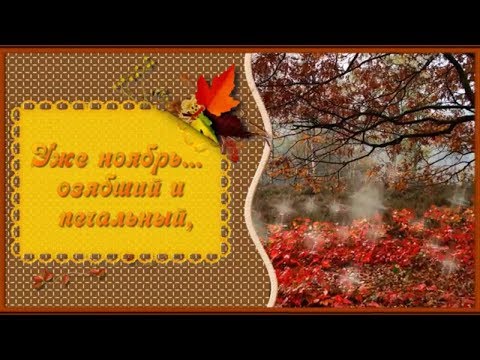 Уже ноябрь! Видео для друзей! It's November! Video for friends!