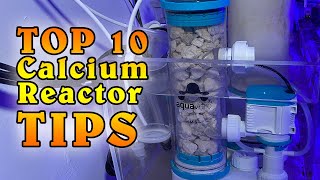 10 Things to Know about Using a Calcium Reactor - Aquavitro Element CA