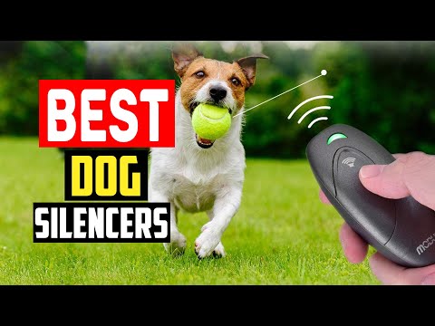 ✅ Top 5 Best Dog Silencers To Help Train Your Canine 2023