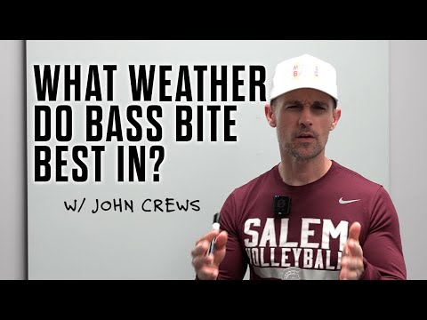 What Weather Do Bass Bite Best In?