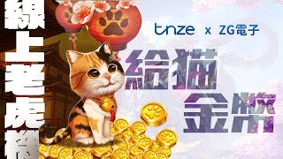 娛樂城│TNZE娛樂城│「給貓金幣老虎機」就是你的招財貓