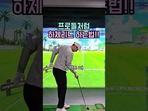 아마추어가 프로처럼 하체리드 하는법??