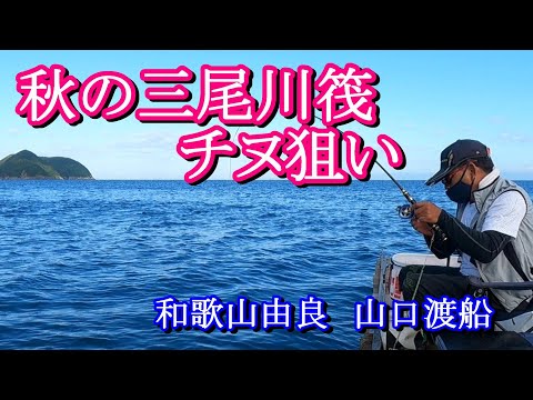 【かかり釣り】【筏チヌ】納得の釣りでした。途中招かれざるエサ取りが・・・