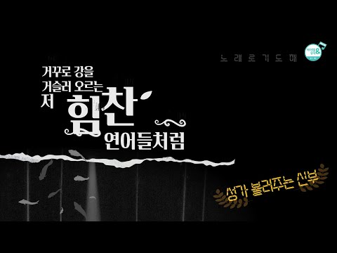 [노래로 기도해 2] 거꾸로 강을 거슬러 오르는 저 힘찬 연어들처럼 (강산에) | 노래 성가 불러주는 신부