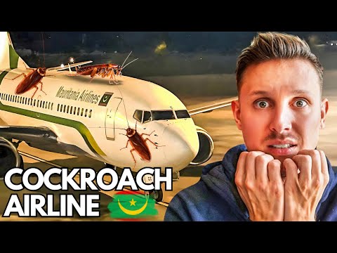 Cockroaches on the Plane & Passenger from Hell - Onboard MAURITANIA Airlines!