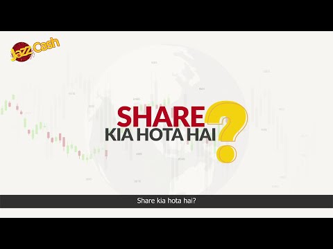 What is a Share?