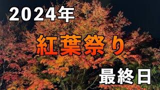 2024年 富士河口湖町 紅葉祭り最終日！