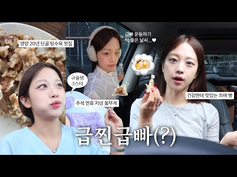 VLOGㅣ찐맛집으로 가득 채운 추석🍂 그리고 급빠 일상 (ft.메타그린마켓 소개)ㅣ노들섬산책, 양양 20년단골맛집, 속초여행, 홈마리나속초, 공덕수더분