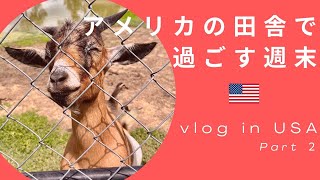 【アメリカで暮らす】ヤギに餌をやってみたらとんでもなかった！　テキサス州の田舎で過ごす週末　ヒアリに噛まれ大惨事！