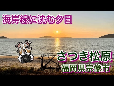 【福岡】沖ノ島が見える「さつき松原」の夕日