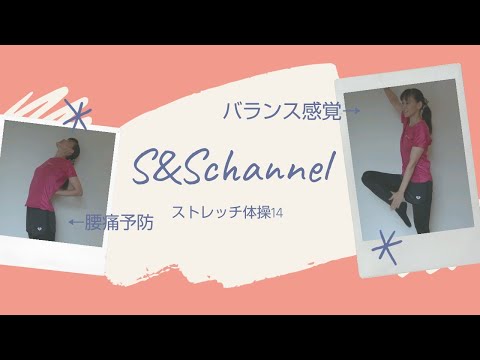 毎日の健康管理に♪おすすめ！ストレッチ体操