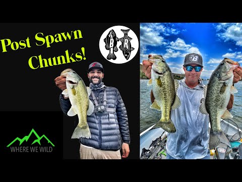 Fishing for Post Spawn Chunks with @WhereWeWild!-Castaic Lake