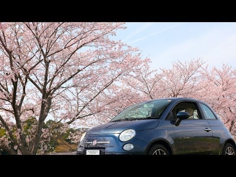 フィアット500で桜並木を抜ける（ショートムービー）