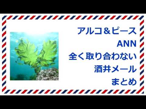 アルコ＆ピースANN 全く取り合わない酒井まとめ