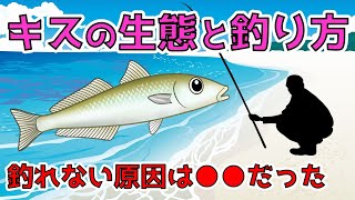 [Secret of kiss fishing]  Study the ecology and fishing methods of kisses and improve your catch!