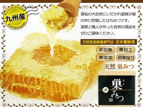 蜂が巣で熟成・貯蔵したままの蜂蜜♪ 九州産天然巣みつ【自然館】