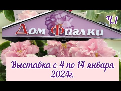 *Фиалки -24* Выставка в Доме Фиалки с 04 -14.01.2024г. (Москва) Часть 1 #выставкафиалок #домфиалки