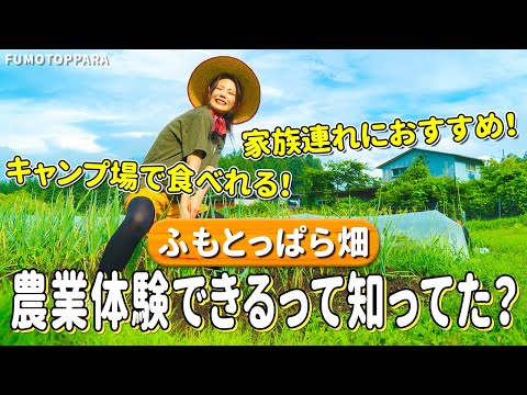 【公式チャンネル第5弾】ふもとっぱらの畑で収穫体験！