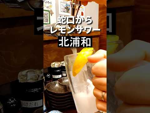 北浦和グルメ【レモンサワー飲み放題】焼肉ホルモンたけ田