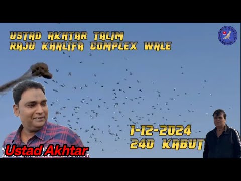 Ustad Akhtar talim Khalifa Raju urban kabootarbazi pigeon