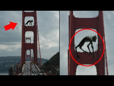 5 Giant Creatures Caught on Tape