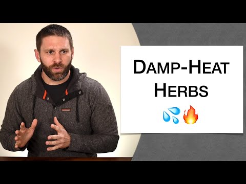 🌿 Herbology 1 Review - Herbs that Clear Heat and Dry Dampness (Extended Live Lecture)