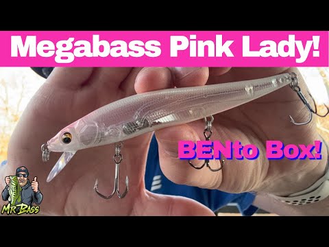 UNBOXING MEGABASS Pink Lady BENto Box from The Hook Up Tackle!